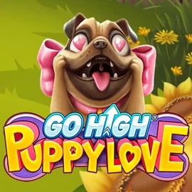 Play Go High Puppy Love slot by RubyPlay on gambiva.eu.com